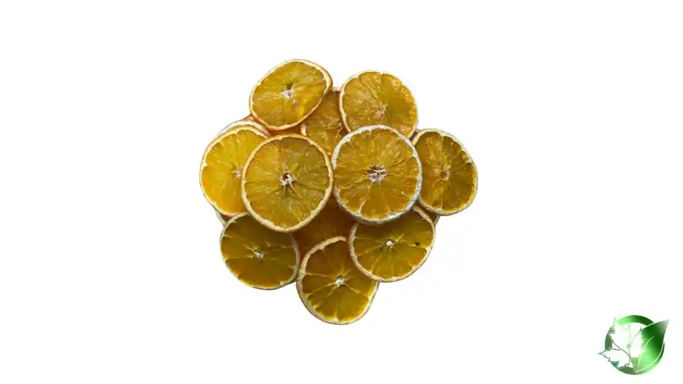 Bulk Dried Orange Slices | Suppliers | Wholesale | ParsaFood Global